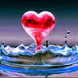 Meet your Posher, Jayc